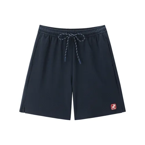 LEDIN Сумеречно-синий Женские Повседневные шорты