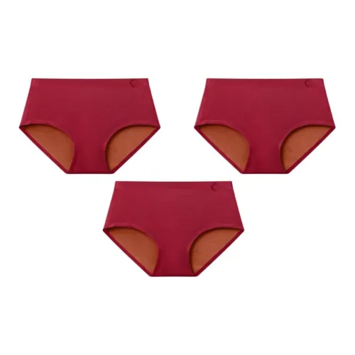 Zhejiang Jin Женское нижнее белье 3 штуки