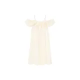 Абрикос Y20180