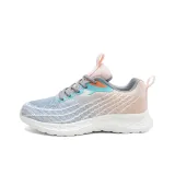 298QL Лотосовый корень Пудра