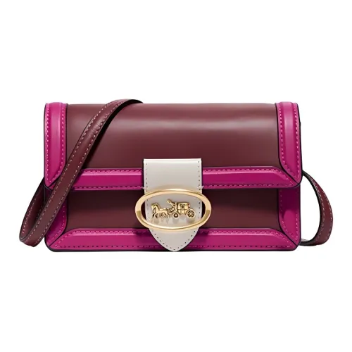 Coach Riley Кожа Аккордеонная Сумка Маленькая Квадратная Сумка Ручная Бананка Сумка через плечо Маленькая Женская