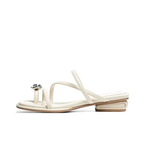 RED DRAGONFLY противоскользящие устойчивые к истиранию женские слипоны