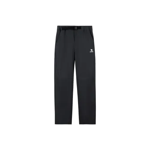 CAMEL Мужские спортивные брюки