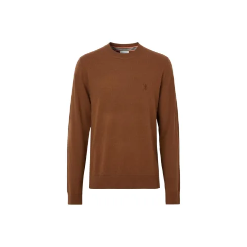 Burberry FW22 Трикотаж Мужской Коричневый