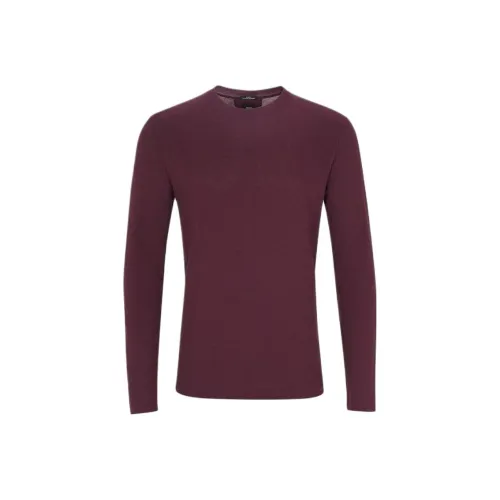 Hugo Boss Трикотаж Мужской Бордовый