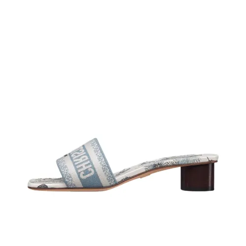 DIOR DIORIVIERA Слипоны 3,5 см Женские Синие