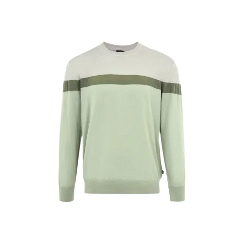 Hugo Boss Серый Зеленый Мужские Свитера