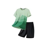 Горох Зеленый