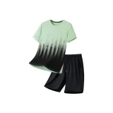 Горох Зеленый