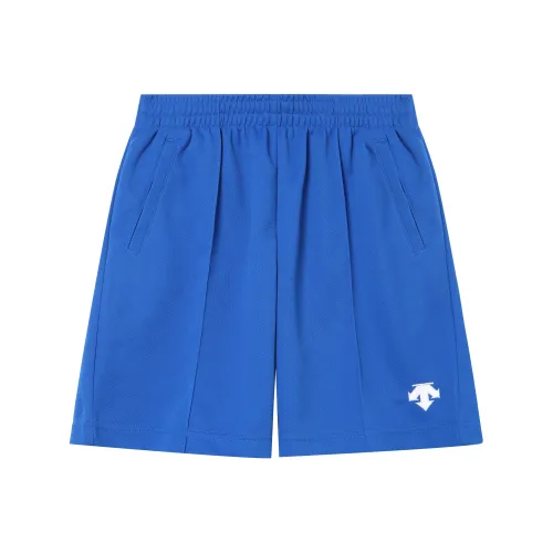 DESCENTE Мужские Повседневные Шорты