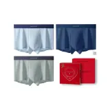 Аква Синий + Королевский Синий + Серо-Зеленый -- Любовь Бога Коробка