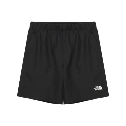 The North Face THE NORTH FACE Apparel Collection Черные Мужские Повседневные Шорты