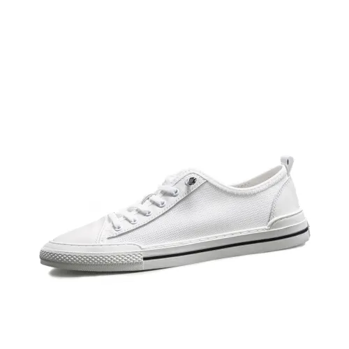 SENJIALUO Устойчивые к истиранию Легкие Скейтборд Кроссовки с низким верхом Мужские Белые