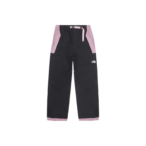 THE NORTH FACE Urban Exploration GORETEX Лыжные штаны Мужские Темно-серые