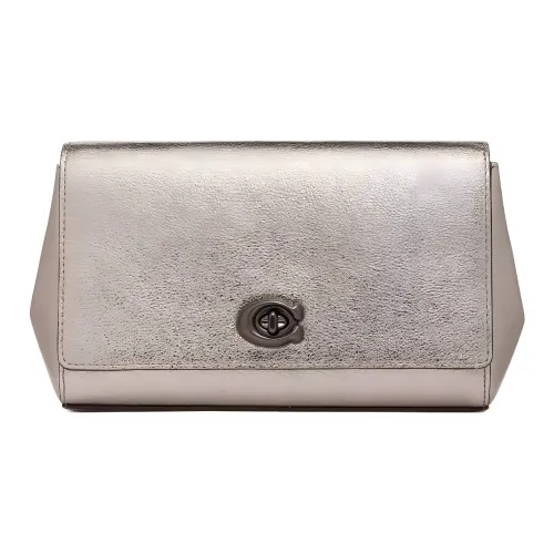 COACH Alexa Кожа Одно плечо Через плечо Клатч Маленький Женский Металл Серебряный
