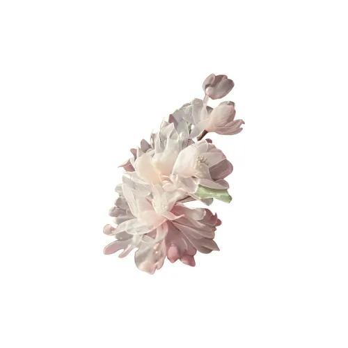 JOINT CANDY Шелковый шифон Заколки для волос Женские