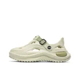 Цвет зеленого авокадо