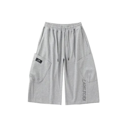 LAMLICKA Серые Унисекс Повседневные шорты