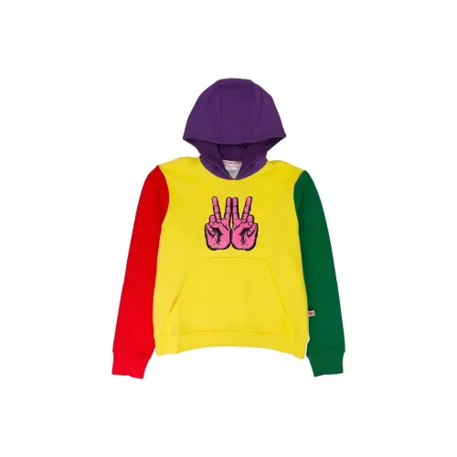 WALTER VAN BEIRENDONCK Многоцветные Мужские Толстовки