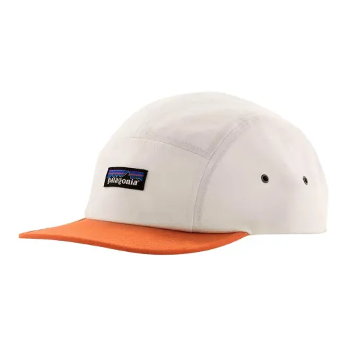 Patagonia Органический хлопок переработанный полиэстер кепки унисекс белый