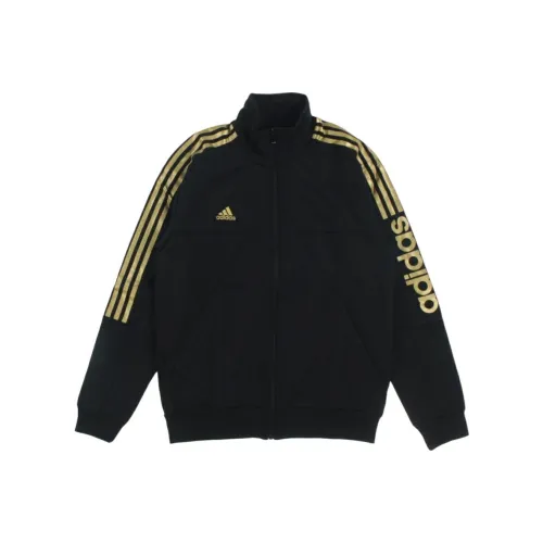 Adidas Куртки и Пальто Мужские Черное Золото