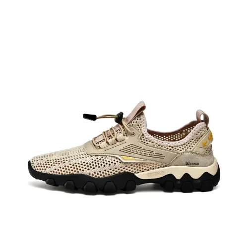 Wen Nai Casual Низкий Топ Khaki Мужской