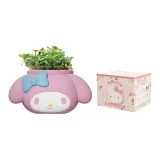 My Melody Стиль [Включает питательную почву + семена вишневой редисы]