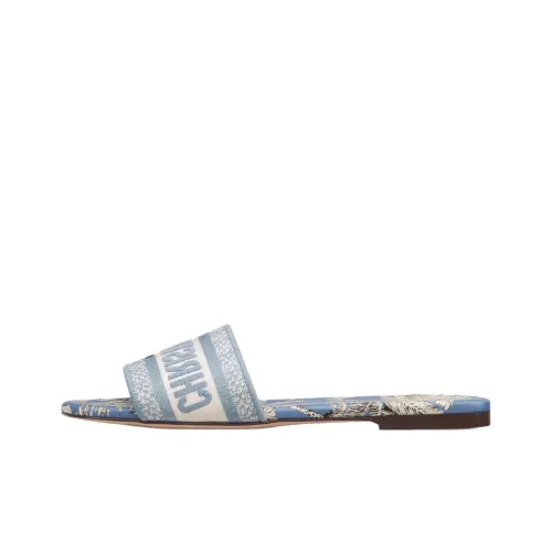 DIOR DIORIVIERA Слипоны Женские Синие