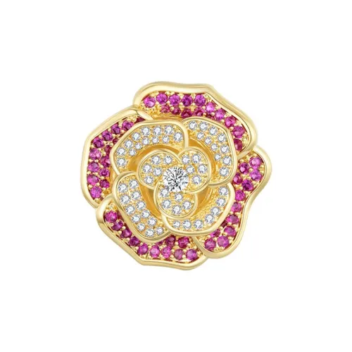 FASIFAN Сплав Броши Женские