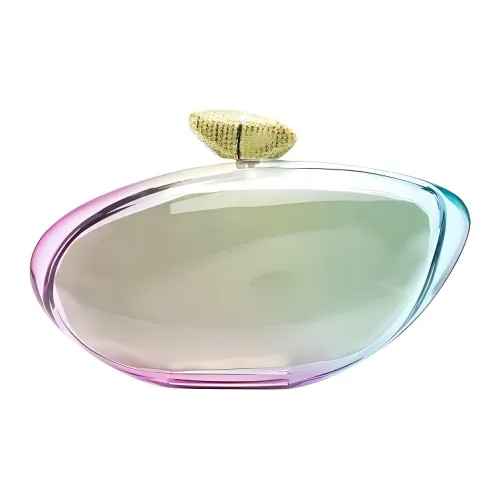 BENEDETTA BRUZZICHES Акриловый клатч женский многоцветный