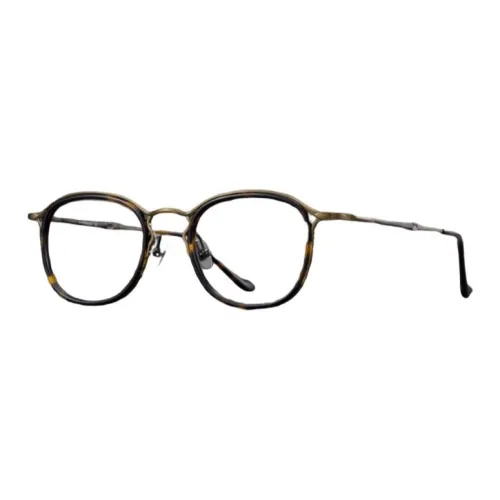 KODAK Титан Пластиковая оправа Нерегулярная форма Оправы для очков Мужской Черепаховый