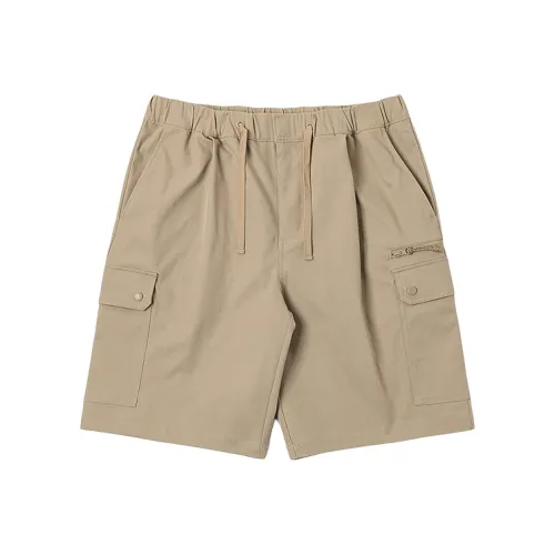 Dickies Хаки Унисекс Повседневные шорты