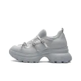 Лунный серый GYL