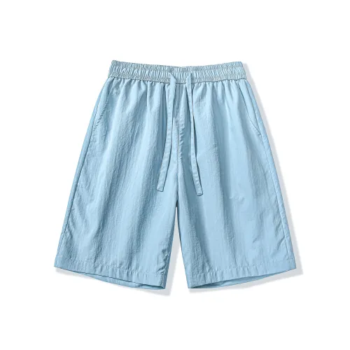 BEEHIVES Унисекс Повседневные шорты