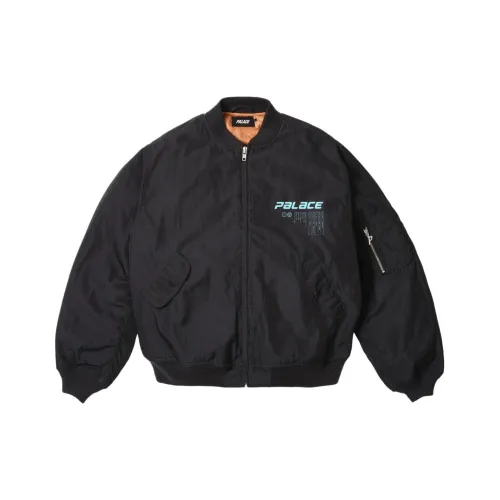 Дворцовый SS25 Черный Унисекс Куртки