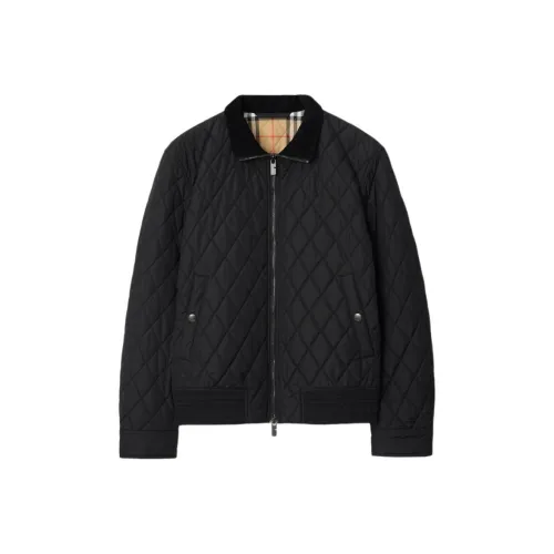 Burberry SS25 Хлопковый пуховик Мужской Черный