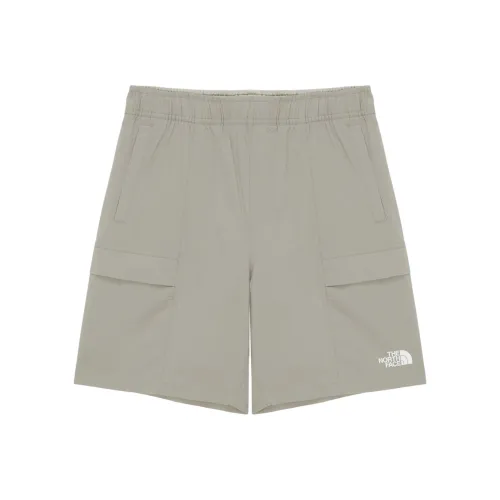 The North Face ICEDAY Повседневные шорты Женские Серый Бежевый