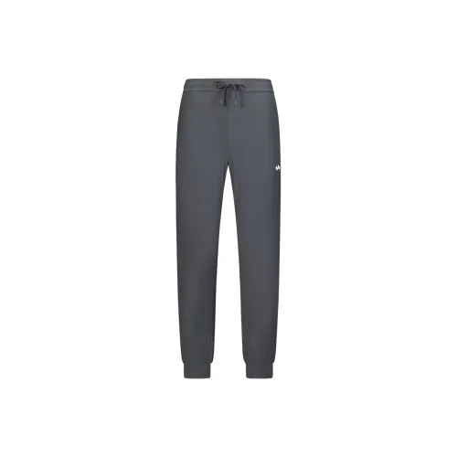HOTSUIT Мужские Повседневные Штаны