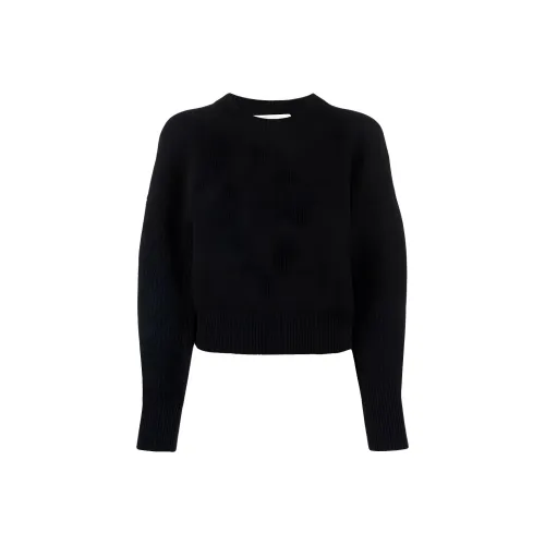 Alexander McQueen Черный Женские Кашемировые Свитеры