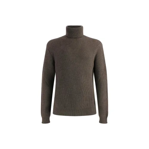 WOOLRICH Коричневые Мужские Свитера