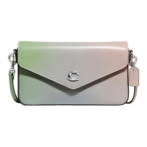 COACH Wyn Кожа Конверт Сумка через плечо Средняя Женская Градиентная