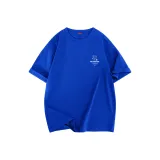 Синий Кляйна