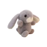 Кролик: Серый