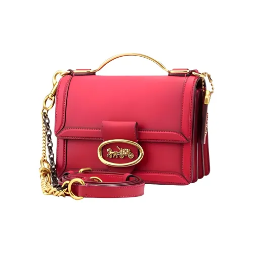 COACH Riley Кожа Аккордеонная Сумка Маленькая Квадратная Сумка Одно Плечо Сумка Мини Женская Розовая