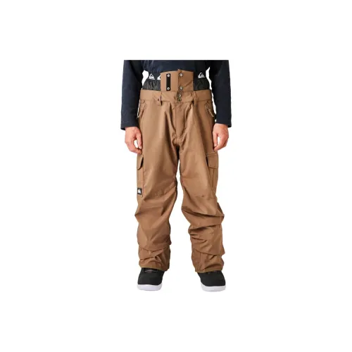 Quiksilver Лыжные брюки Мужские Коричневые