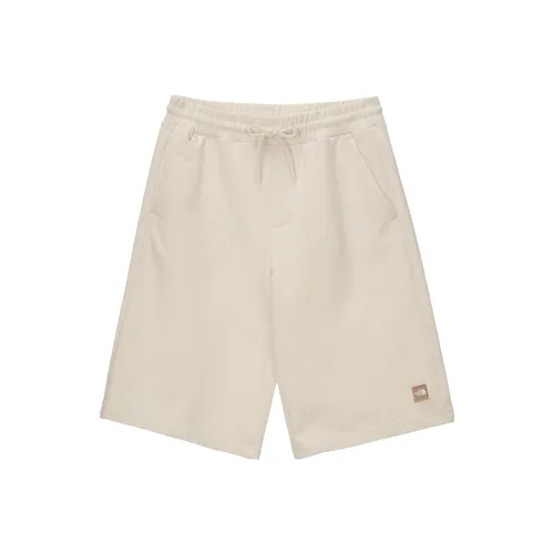 The North Face Бежевые Мужские Повседневные Шорты