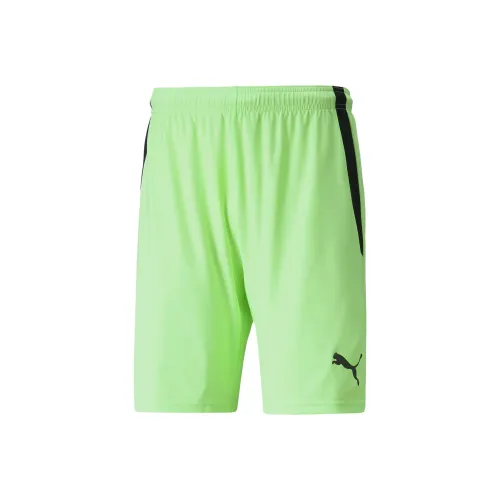 PUMA TeamligaDRYCELL Футбол Низ Мужской Зеленый