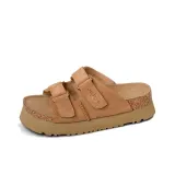 29 Верблюжий