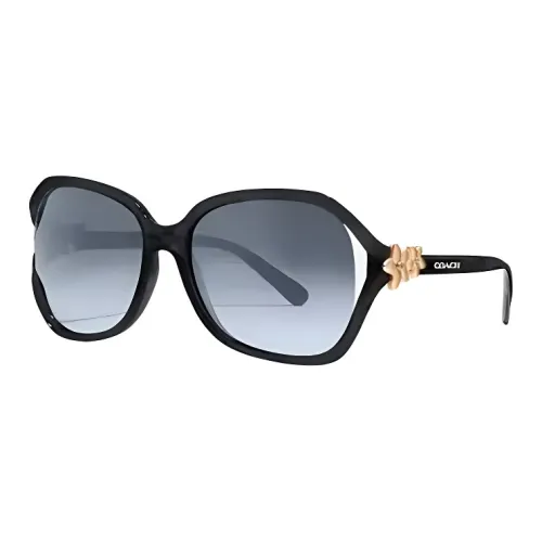 COACH Нерегулярная форма Солнцезащитные очки Женские Черный