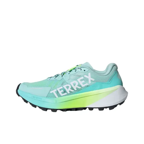 adidas Terrex Agravic 3 Slip-Resistant Abrasion-Resistant Low-Top Беговые кроссовки Женские Светлый Блестящий Синий